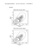 ENHANCING THE T-CELL STIMULATORY CAPACITY OF HUMAN ANTIGEN PRESENTING     CELLS IN VITRO AND IN VIVO AND THEIR USE IN VACCINATION diagram and image