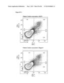 ENHANCING THE T-CELL STIMULATORY CAPACITY OF HUMAN ANTIGEN PRESENTING     CELLS IN VITRO AND IN VIVO AND THEIR USE IN VACCINATION diagram and image