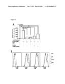 ENHANCING THE T-CELL STIMULATORY CAPACITY OF HUMAN ANTIGEN PRESENTING     CELLS IN VITRO AND IN VIVO AND THEIR USE IN VACCINATION diagram and image