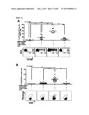 ENHANCING THE T-CELL STIMULATORY CAPACITY OF HUMAN ANTIGEN PRESENTING     CELLS IN VITRO AND IN VIVO AND THEIR USE IN VACCINATION diagram and image