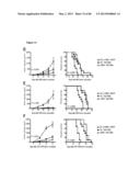 ENHANCING THE T-CELL STIMULATORY CAPACITY OF HUMAN ANTIGEN PRESENTING     CELLS IN VITRO AND IN VIVO AND THEIR USE IN VACCINATION diagram and image