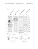 CDCA5 PEPTIDES AND VACCINES INCLUDING THE SAME diagram and image