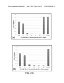 COPPER/SILICA NANOPARTICLES, METHODS OF MAKING, AND METHODS OF USE diagram and image