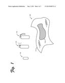 FLAVORED WIPE AND DISPENSING SYSTEM diagram and image