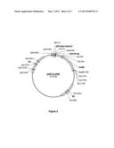 SYNTHETIC PHYTASE VARIANTS diagram and image