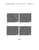 AQUEOUS PROCESSING OF COMPOSITE LITHIUM ION ELECTRODE MATERIAL diagram and image