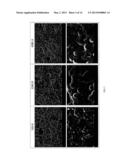 Coated Graphite Article And Reactive Ion Etch Manufacturing And     Refurbishment Of Graphite Article diagram and image