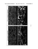 Coated Graphite Article And Reactive Ion Etch Manufacturing And     Refurbishment Of Graphite Article diagram and image