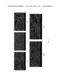 Coated Graphite Article And Reactive Ion Etch Manufacturing And     Refurbishment Of Graphite Article diagram and image