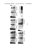 Coated Graphite Article And Reactive Ion Etch Manufacturing And     Refurbishment Of Graphite Article diagram and image