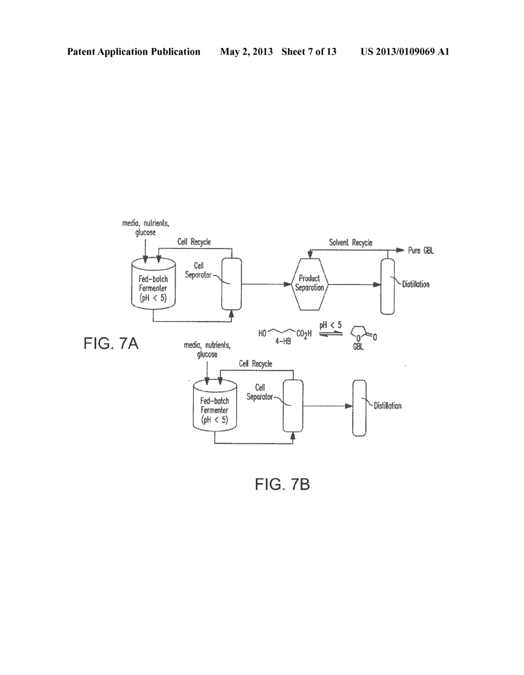 MICROORGANISMS FOR THE PRODUCTION OF 1,4-BUTANEDIOL - diagram, schematic, and image 08