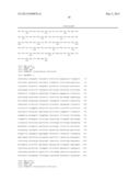 TRANSFORMANT FOR ENHANCING BIOETHANOL PRODUCTION, AND METHOD FOR PRODUCING     ETHANOL BY USING SAID STRAIN diagram and image