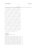 TRANSFORMANT FOR ENHANCING BIOETHANOL PRODUCTION, AND METHOD FOR PRODUCING     ETHANOL BY USING SAID STRAIN diagram and image