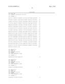 TRANSFORMANT FOR ENHANCING BIOETHANOL PRODUCTION, AND METHOD FOR PRODUCING     ETHANOL BY USING SAID STRAIN diagram and image