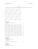 TRANSFORMANT FOR ENHANCING BIOETHANOL PRODUCTION, AND METHOD FOR PRODUCING     ETHANOL BY USING SAID STRAIN diagram and image