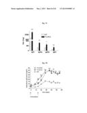 Transgenic Animal with Enhanced Immune Response and Method for the     Preparation Thereof diagram and image