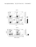 Transgenic Animal with Enhanced Immune Response and Method for the     Preparation Thereof diagram and image