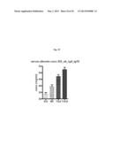 Transgenic Animal with Enhanced Immune Response and Method for the     Preparation Thereof diagram and image