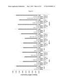 METHOD FOR TRANSFECTING A EUKARYOTIC CELL diagram and image