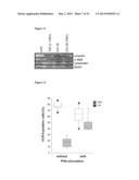 BLOCKADE OF CCL18 SIGNALING VIA CCR6 AS A THERAPEUTIC OPTION IN FIBROTIC     DISEASES AND CANCER diagram and image