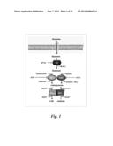 METABOLIC INHIBITOR AGAINST TUMORS HAVING AN IDH MUTATION diagram and image