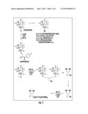 ANTI-CYTOMEGALOVIRUS ACTIVITY OF ARTEMISININ-DERIVED DIMERS diagram and image