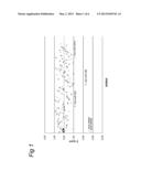 MiRNA AND ITS DIAGNOSTIC AND THERAPEUTIC USES IN DISEASES OR CONDITIONS     ASSOCIATED WITH MELANOMA, OR IN DISEASES OR CONDITIONS ASSOCIATED WITH     ACTIVATED BRAF PATHWAY diagram and image