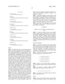 MiRNA AND ITS DIAGNOSTIC AND THERAPEUTIC USES IN DISEASES OR CONDITIONS     ASSOCIATED WITH MELANOMA, OR IN DISEASES OR CONDITIONS ASSOCIATED WITH     ACTIVATED BRAF PATHWAY diagram and image