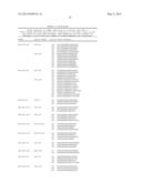 MiRNA AND ITS DIAGNOSTIC AND THERAPEUTIC USES IN DISEASES OR CONDITIONS     ASSOCIATED WITH MELANOMA, OR IN DISEASES OR CONDITIONS ASSOCIATED WITH     ACTIVATED BRAF PATHWAY diagram and image