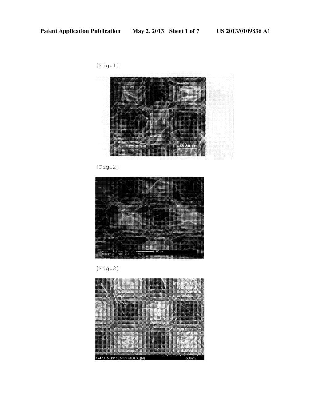 SILK FIBROIN POROUS MATERIAL AND METHOD FOR PRODUCING SAME - diagram, schematic, and image 02