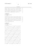 ANTI-cMET ANTIBODY diagram and image