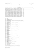 ANTI-cMET ANTIBODY diagram and image