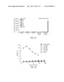 COMPOSITIONS MONOVALENT FOR CD28 BINDING AND METHODS OF USE diagram and image