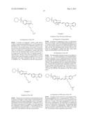 Detection or quantification of desirable target molecules, novel dyes,     composite dyes, and oligonucleotides or polynucleotides comprising such     dyes diagram and image