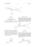 Detection or quantification of desirable target molecules, novel dyes,     composite dyes, and oligonucleotides or polynucleotides comprising such     dyes diagram and image