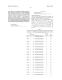 COMPOSITIONS AND THEIR USES DIRECTED TO ACEYTL-COA CARBOXYLASES diagram and image