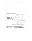 TELOMERASE INHIBITORS AND A METHOD FOR THE PREPARATION THEREOF diagram and image