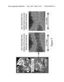 NON-CONTACT AND PASSIVE MEASUREMENT OF ARTERIAL PULSE THROUGH THERMAL IR     IMAGING, AND ANALYSIS OF THERMAL IR IMAGERY diagram and image