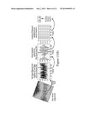 NON-CONTACT AND PASSIVE MEASUREMENT OF ARTERIAL PULSE THROUGH THERMAL IR     IMAGING, AND ANALYSIS OF THERMAL IR IMAGERY diagram and image