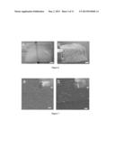 GEL ASSEMBLY diagram and image