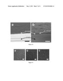 GEL ASSEMBLY diagram and image