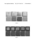 GEL ASSEMBLY diagram and image