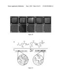 GEL ASSEMBLY diagram and image