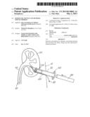 Hemostatic Devices and Methods for Use Thereof diagram and image