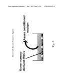 CONDITIONED MEDIUM OBTAINED FROM STEM CELLS AND ITS USE IN THERAPY diagram and image