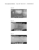 THREE-DIMENSIONAL SCAFFOLDS, METHODS FOR FABRICATING THE SAME, AND METHODS     OF TREATING A PERIPHERAL NERVE OR SPINAL CORD INJURY diagram and image