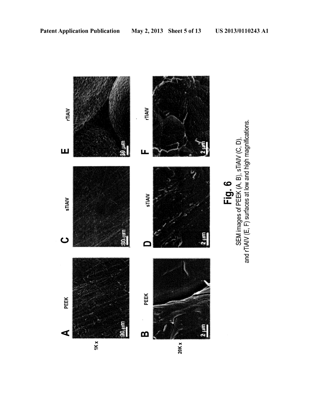 MICROSTRUCTURED IMPLANT SURFACES - diagram, schematic, and image 06