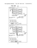 COLLATION DEVICE, COLLATION PROGRAM AND COLLATION METHOD diagram and image