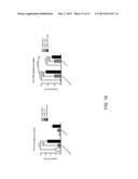 Genetically Modified Major Histocompatibility Complex Mice diagram and image