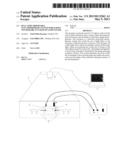 Real-time observable electrophoresis system which does not require any     kind of light filter diagram and image